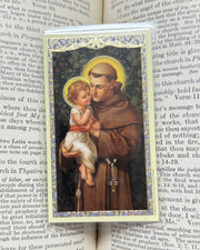 Saint Anthony Holy Card