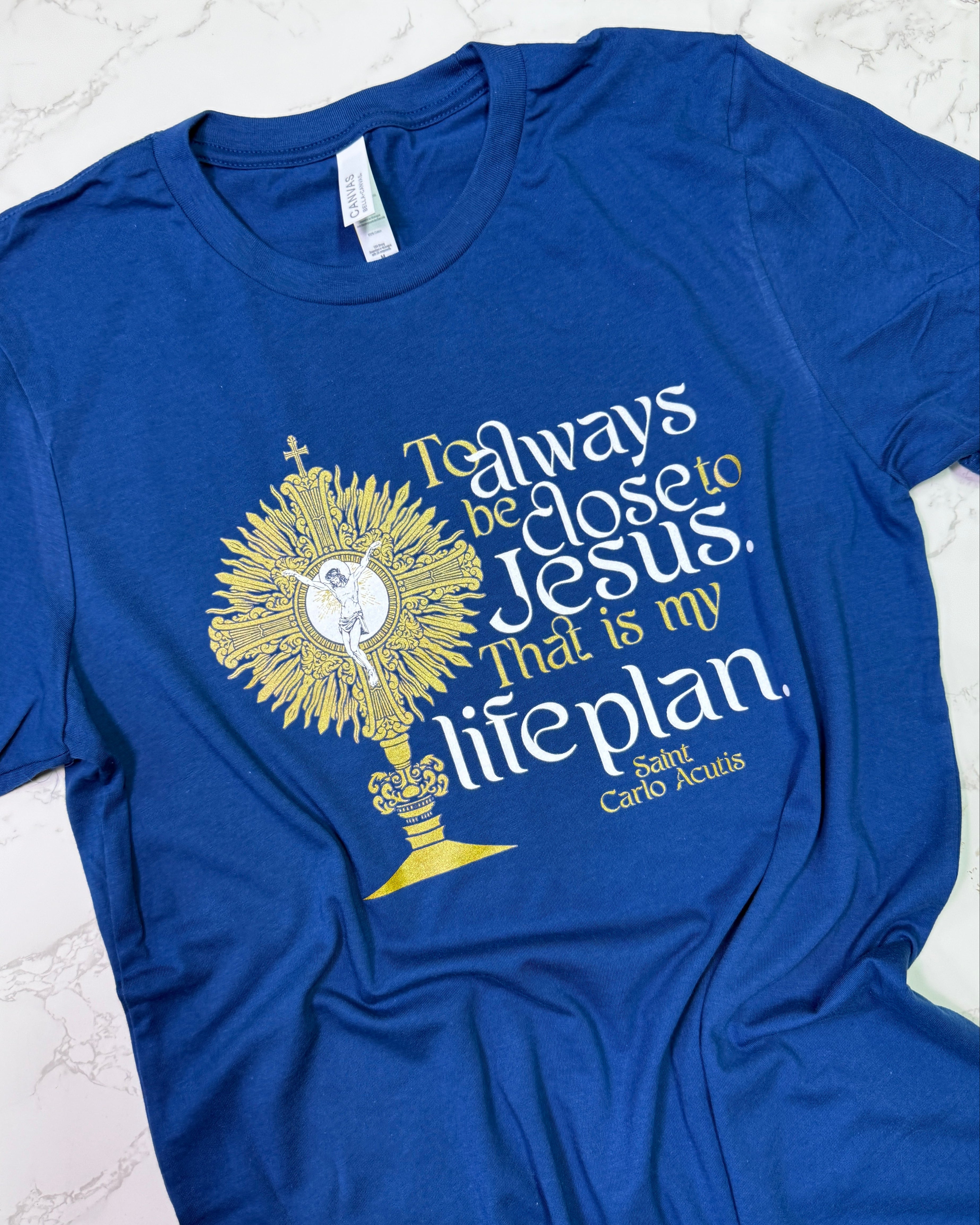 Life Plan