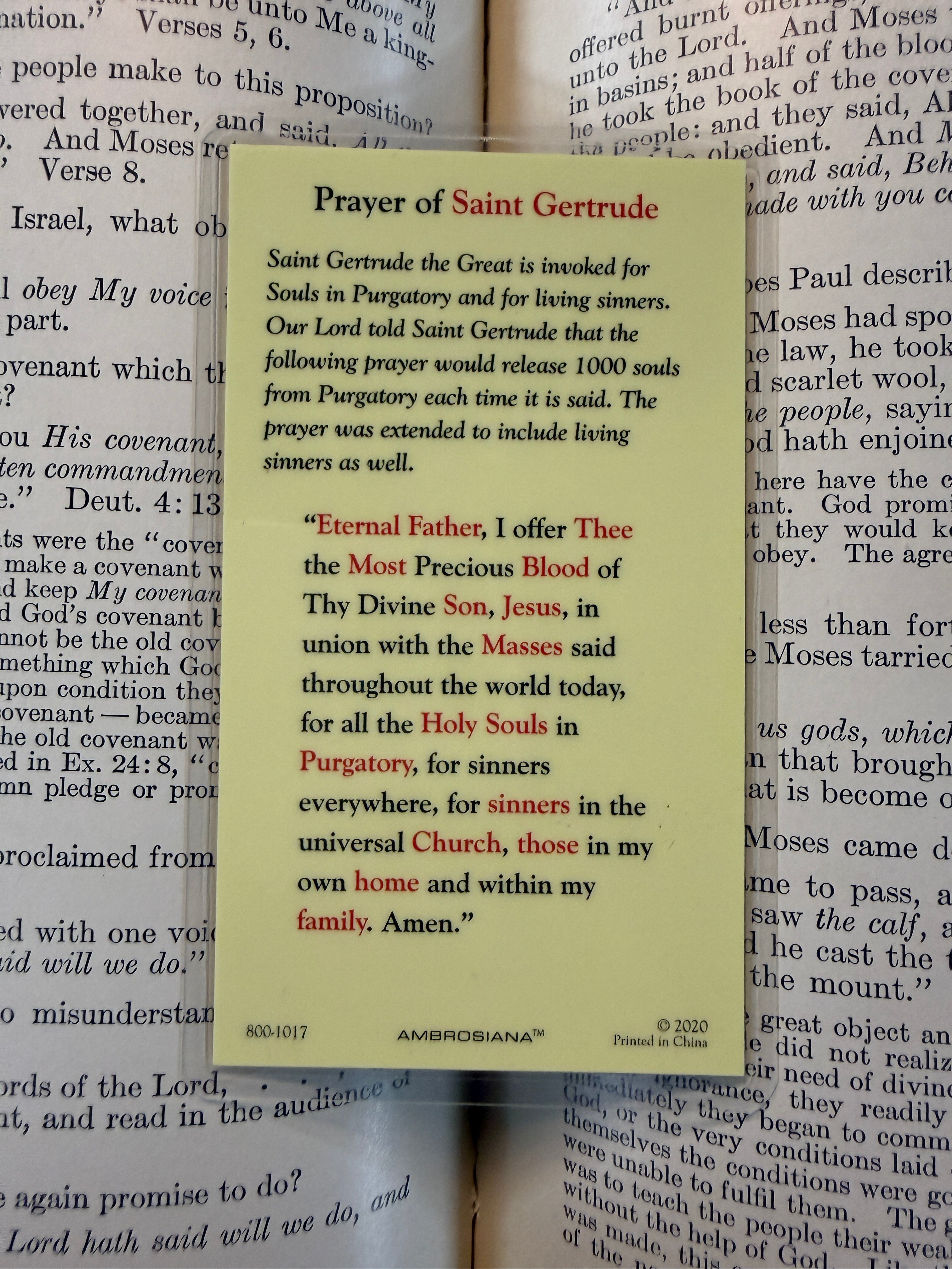 Saint Gertrude Card