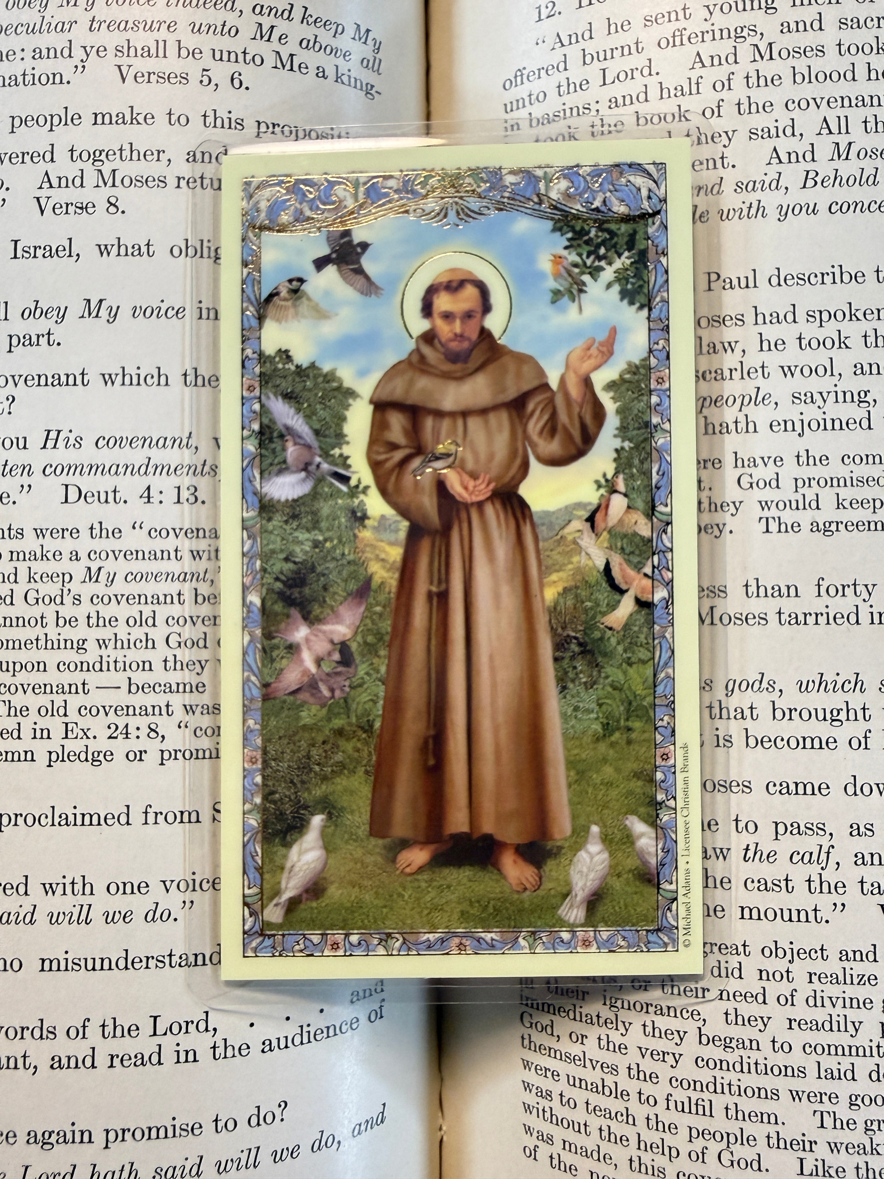 Saint Francis Assisi Card
