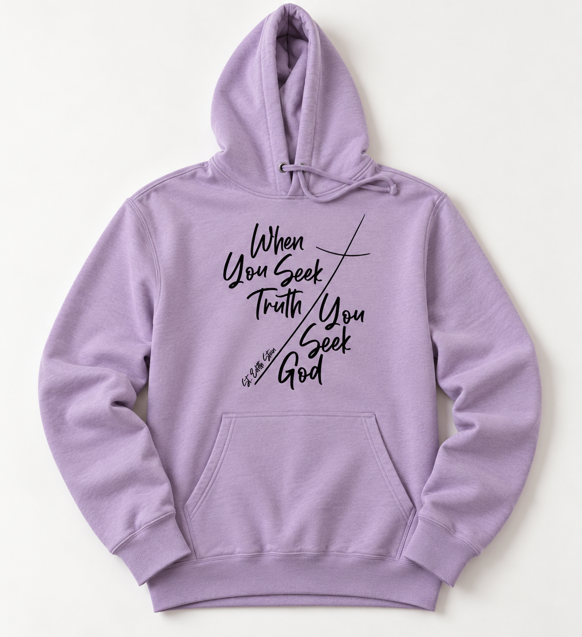 Seek Truth Hoodie